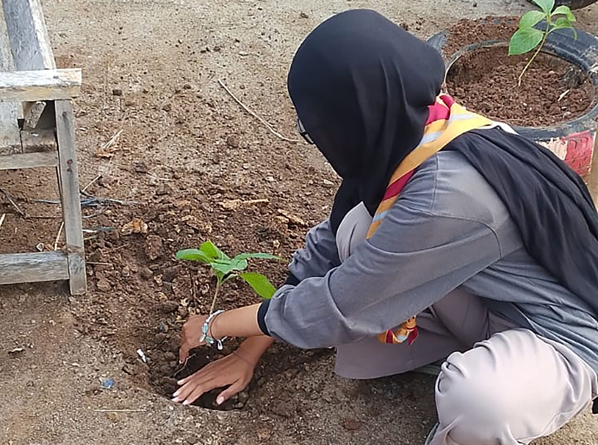 Gelar Kolaborasi dengan Berbagai Organisasi Sosial dan Pendidikan, Pramuka Untirta Ambil Bagian dalam Gerakan Banten Menanam